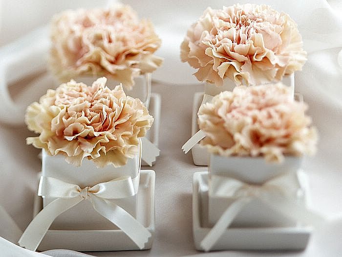 母親節 新宇宙賀詞