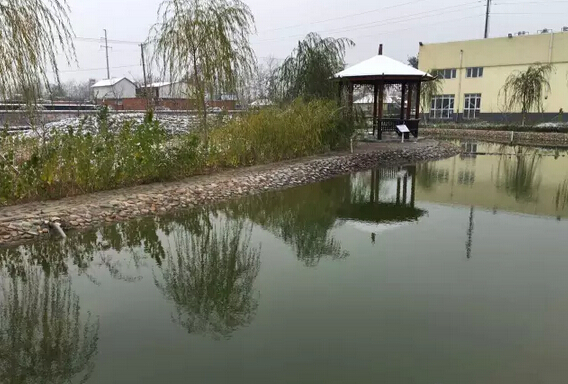 下雪天的躍迪集團(tuán)，咱也跟跟風(fēng)。。。