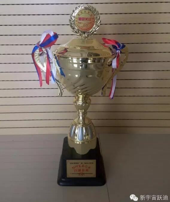 躍迪集團旗下河北新宇宙電動車有限公司榮獲星際集團杯第二屆2015年度特種裝備行業百強企業