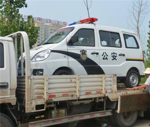 電動巡邏車價格