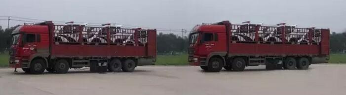 躍迪移動城管執法站、躍迪電動巡邏車大批量發往首都北京——有躍迪，才安心