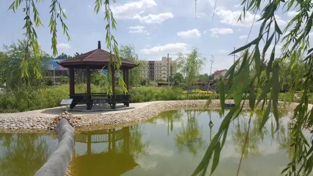 躍迪十年發展引人贊，百年躍迪輝煌令人盼