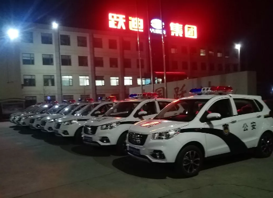 護航兩會，躍迪在行動|躍迪電動警用巡邏車海南執勤，助力和諧兩會