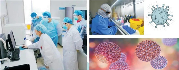 及時部署、快速檢測——躍迪移動PCR核酸檢測方艙在行動